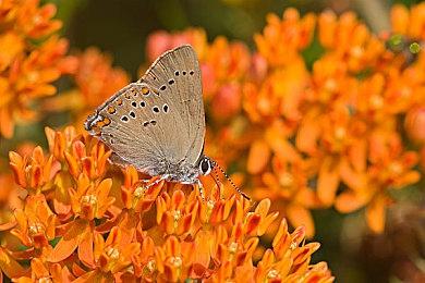 除了PS5 Pro强化补丁外 《龙之信条2》还有面向全平台的更新