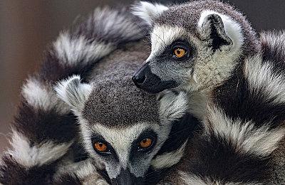 要来了么？《战神：诸神黄昏》在韩国通过评级